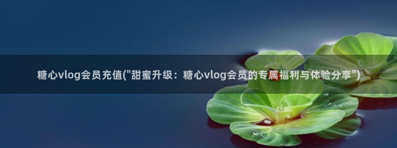 糖心VLOG精彩片段