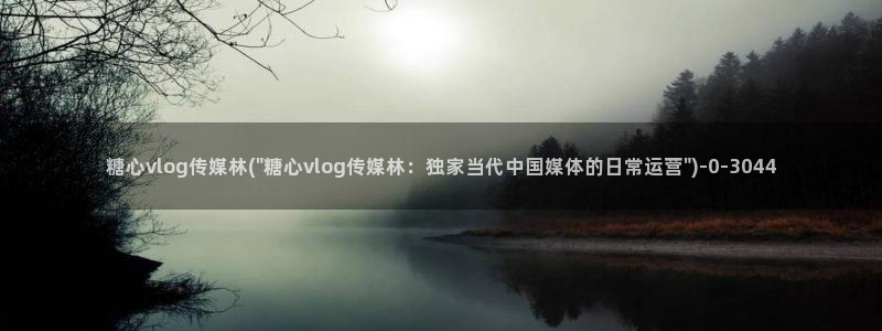 糖心vlog up主
