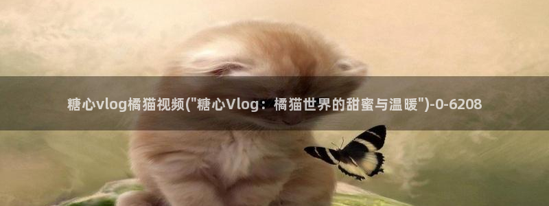 糖心VLOG传媒还有