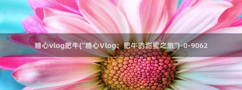 糖心vlog小桃 路人