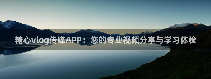 糖心vlog线下援交:糖心vlog传媒A