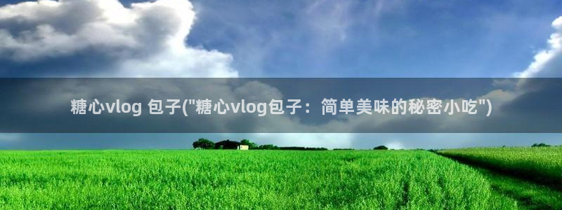 糖心vlog高清:糖心vlog 包子(\