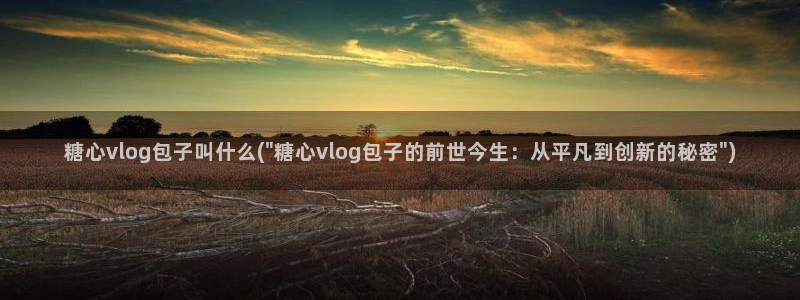 糖心姐姐vlog免费：糖心vlog包子叫