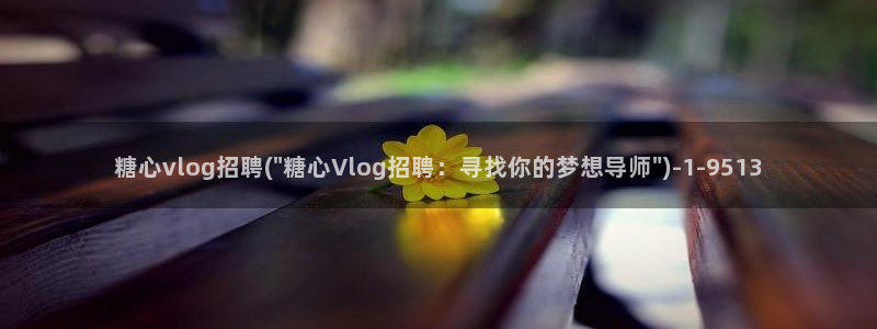 糖心vlog2.2：糖心vlog招聘(\