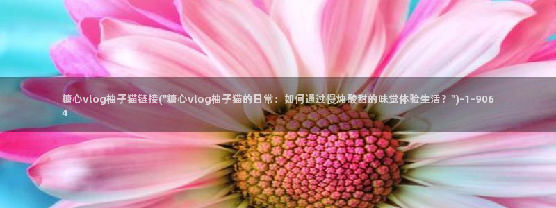 糖心时间vlog:糖心vlog柚子猫链接