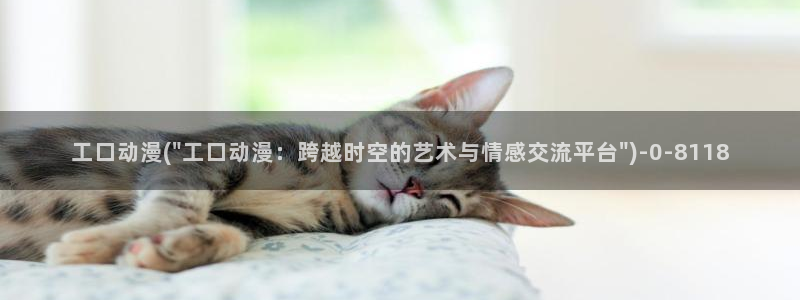 中国动漫博物馆：工口动漫(\