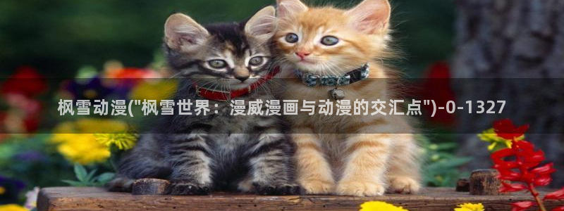 阅文动漫:枫雪动漫(\